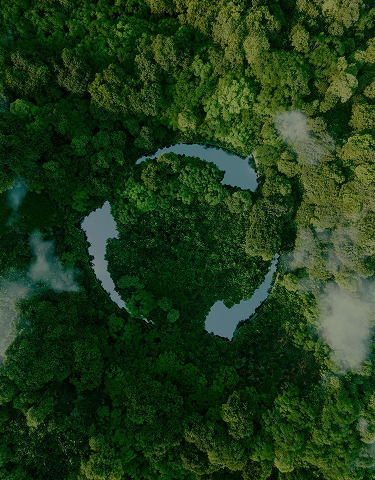banner1 Background
