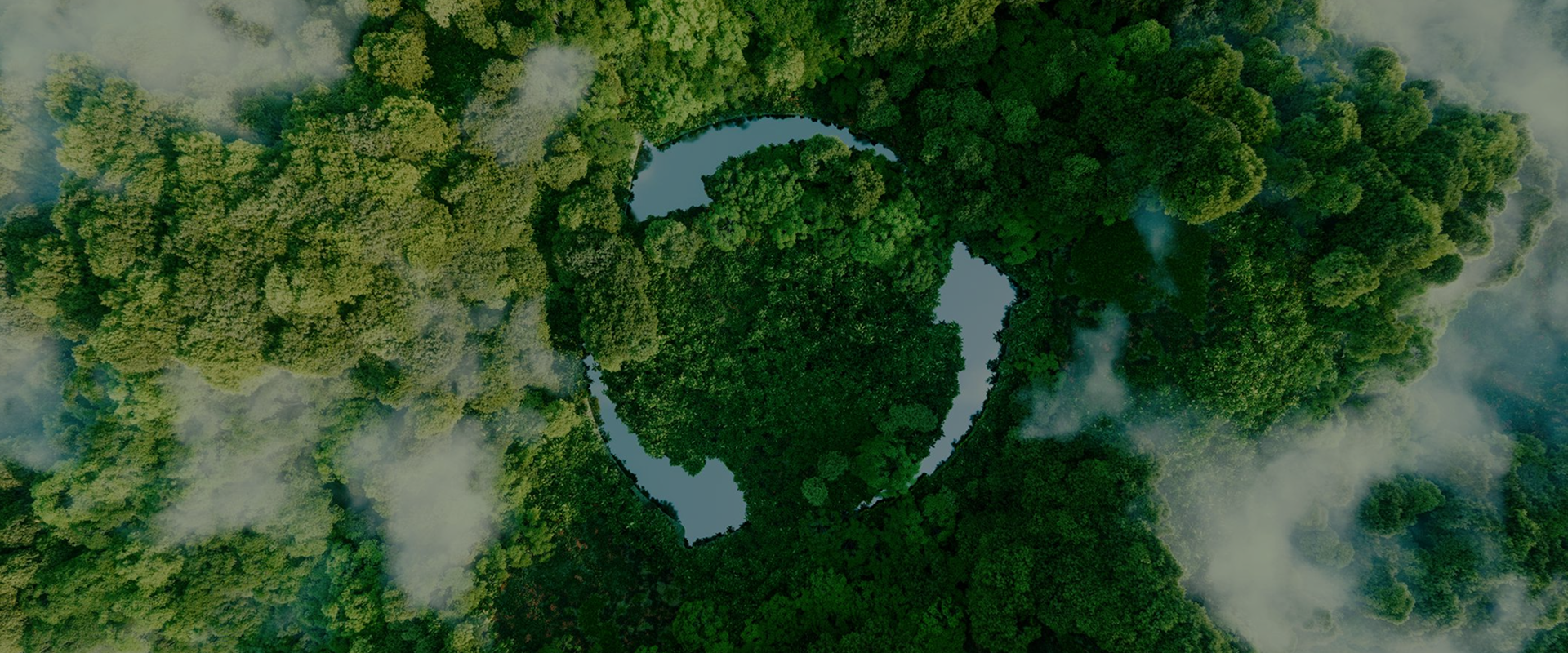 banner1 Background