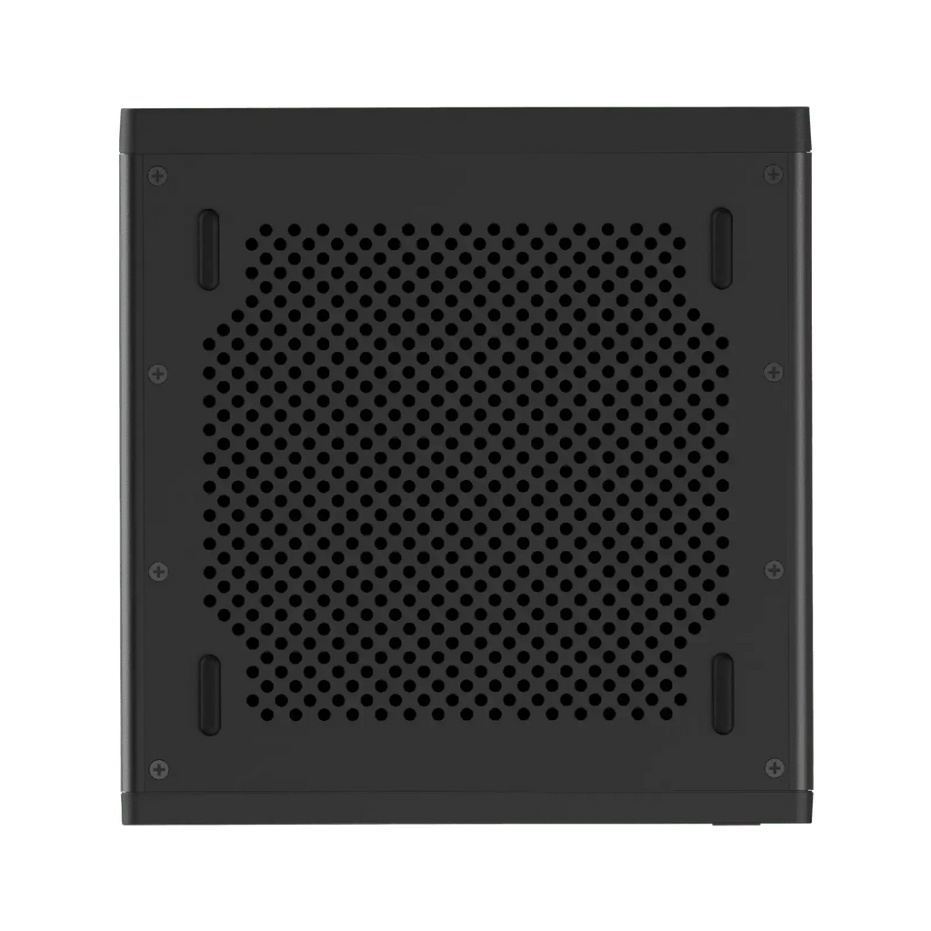 Minisforum MS-R1