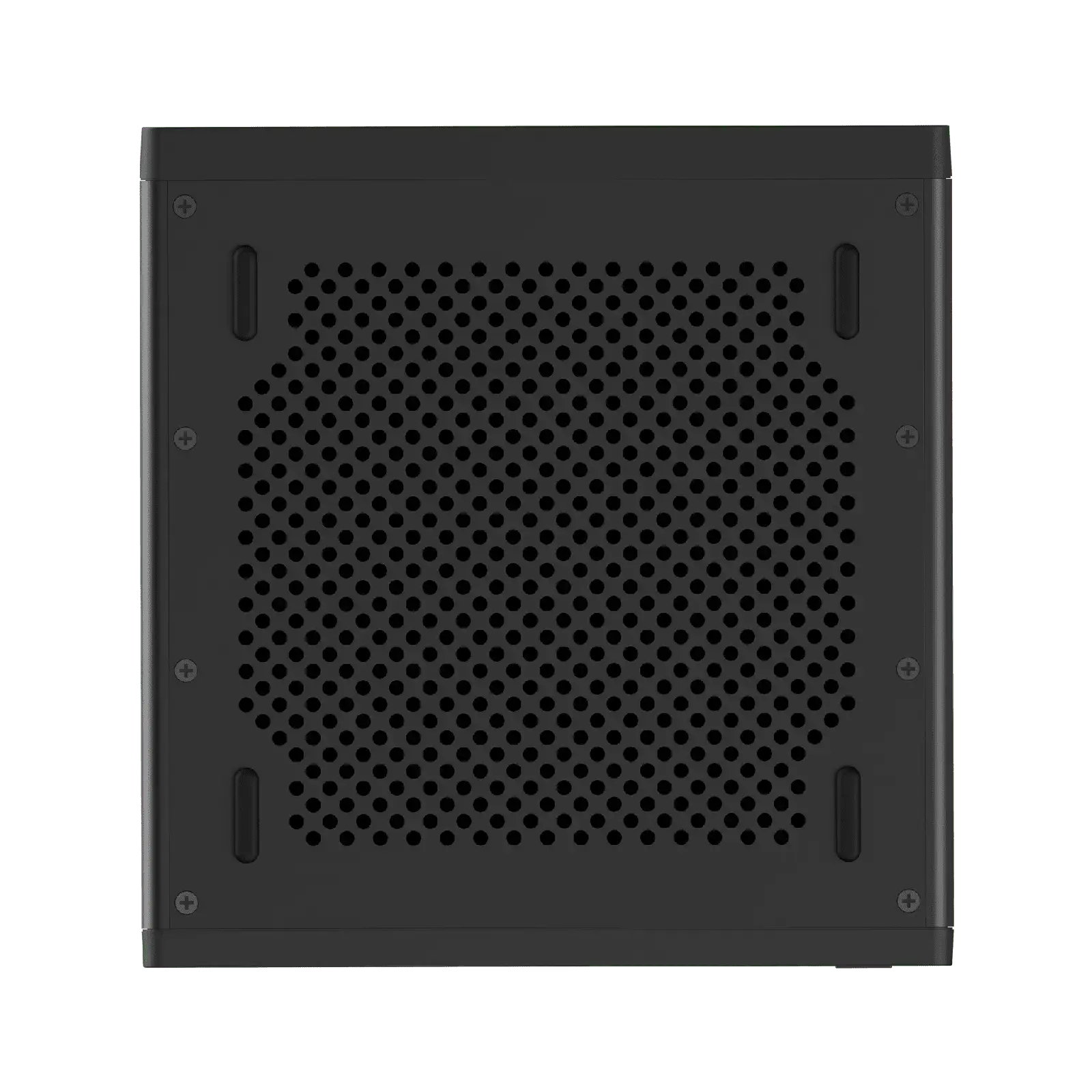 Minisforum MS-R1